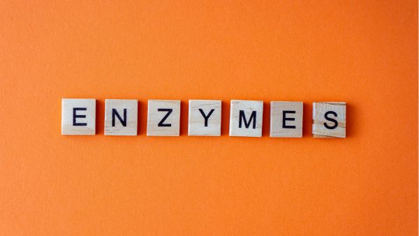 Enzymes